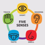 Prose: Writing with the Senses